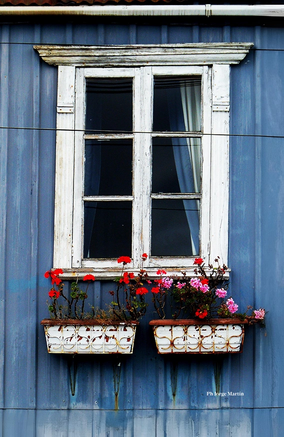 imagenIMP (2)